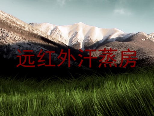 远红外汗蒸房