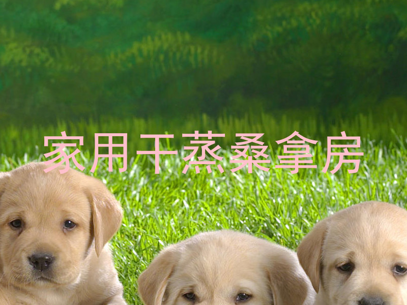 家用干蒸桑拿房