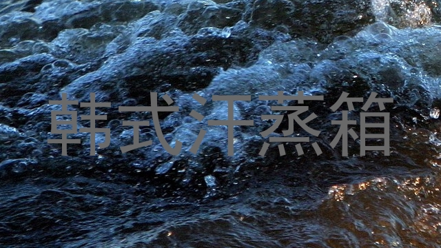 韩式汗蒸箱