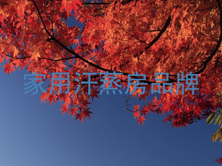 家用汗蒸房品牌