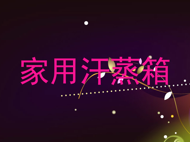 家用汗蒸箱
