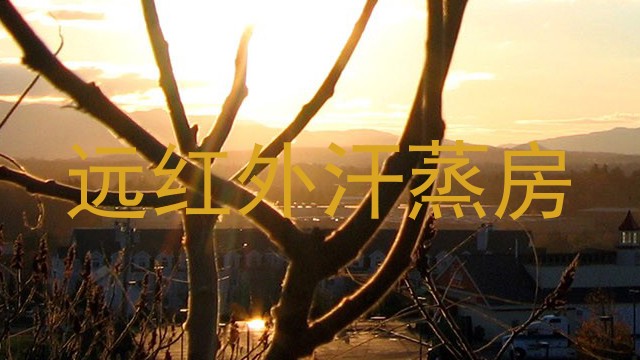 远红外汗蒸房