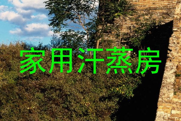 家用汗蒸房