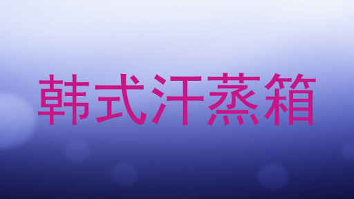 韩式汗蒸箱