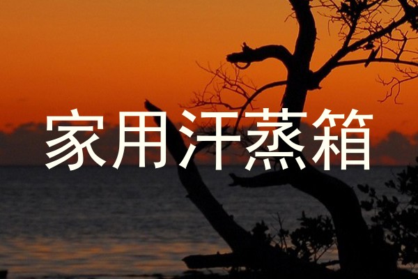 家用汗蒸箱