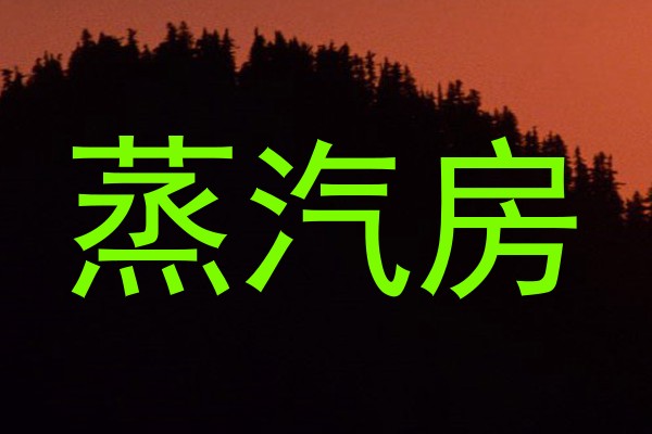 蒸汽房