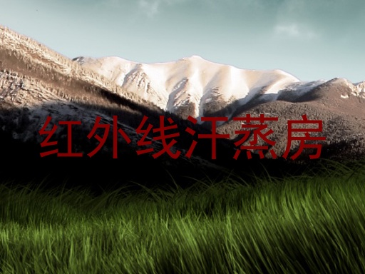 红外线汗蒸房