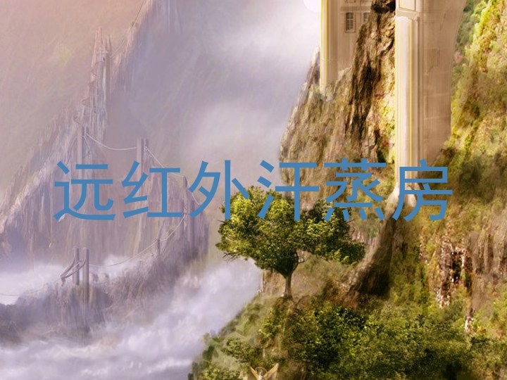 远红外汗蒸房