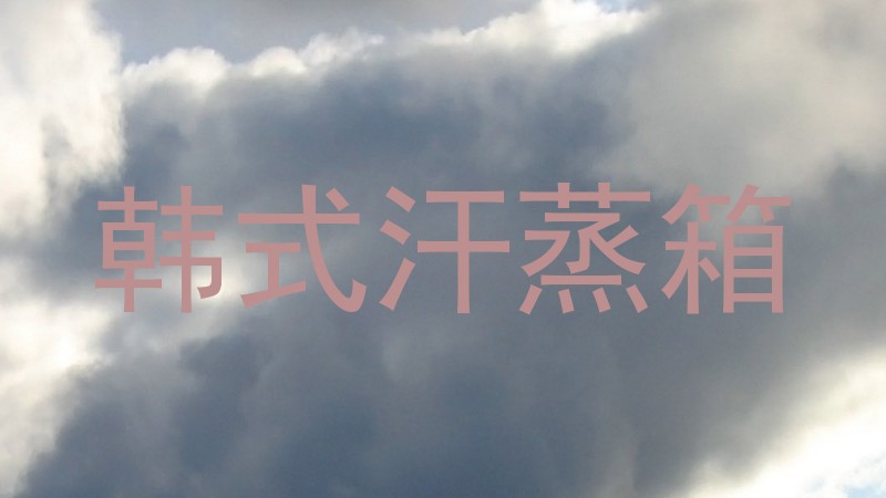 韩式汗蒸箱