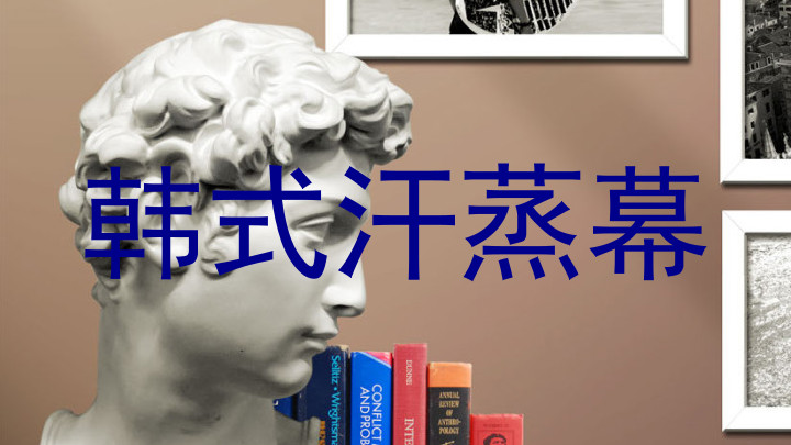 韩式汗蒸幕