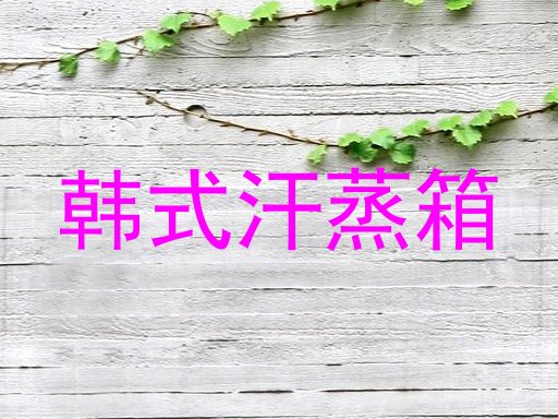 韩式汗蒸箱