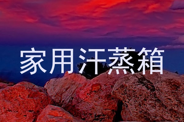 家用汗蒸箱