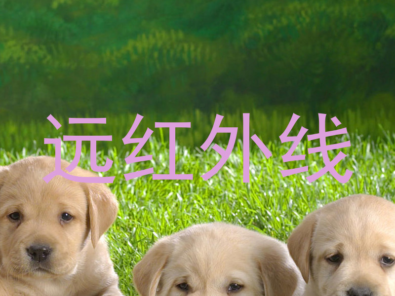 远红外线
