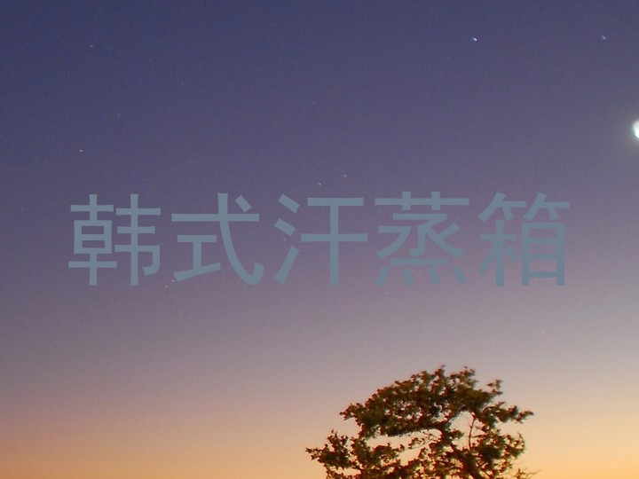 韩式汗蒸箱