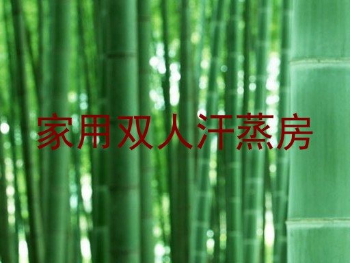 家用双人汗蒸房