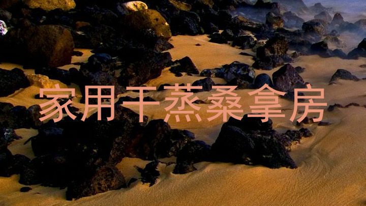 家用干蒸桑拿房