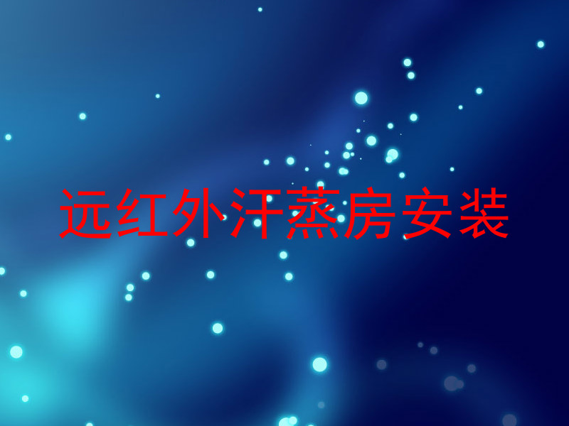 远红外汗蒸房安装