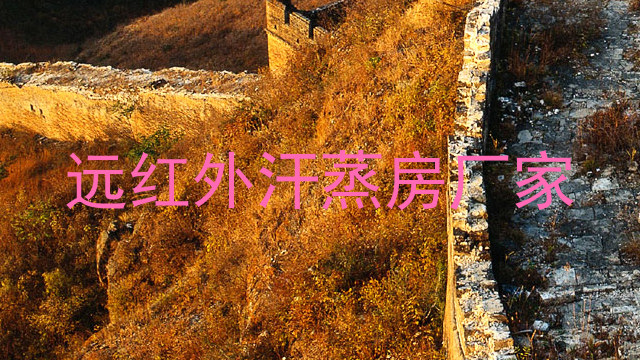 远红外汗蒸房厂家