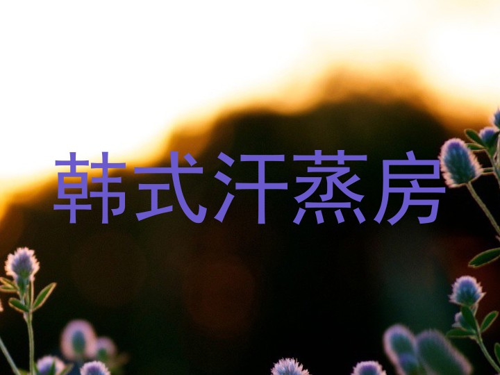韩式汗蒸房