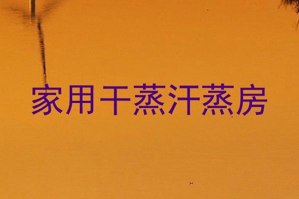 家用干蒸汗蒸房