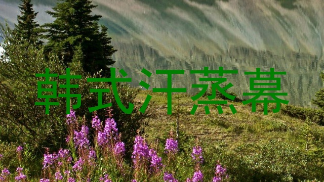 韩式汗蒸幕