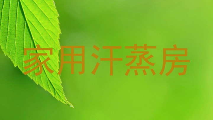 家用汗蒸房