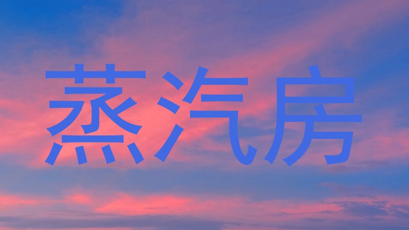 蒸汽房