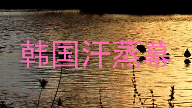 韩国汗蒸幕