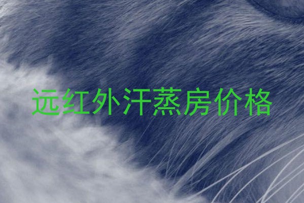 远红外汗蒸房价格