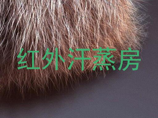 红外汗蒸房