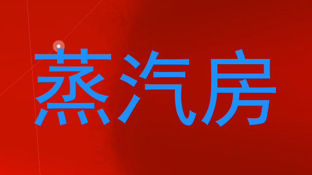 蒸汽房