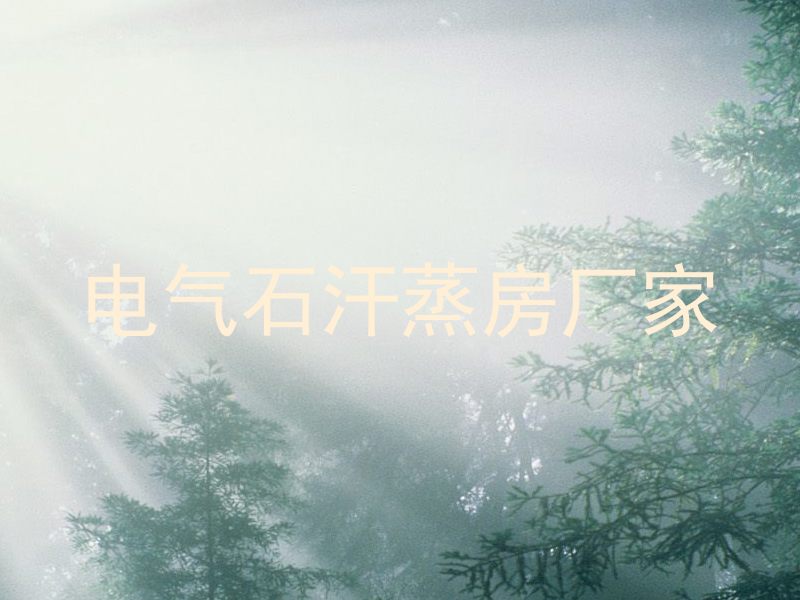 电气石汗蒸房厂家