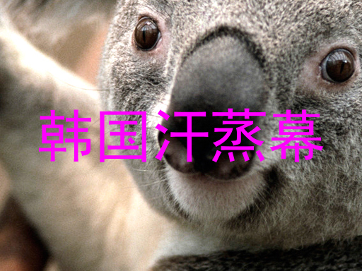 韩国汗蒸幕