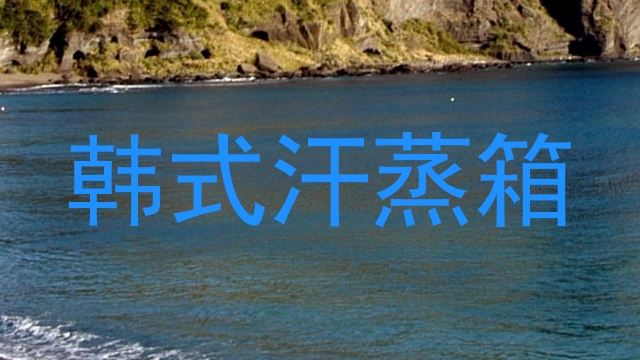 韩式汗蒸箱