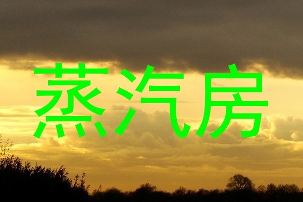 蒸汽房