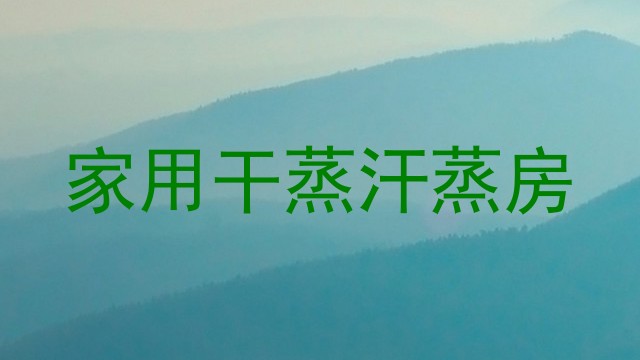 家用干蒸汗蒸房