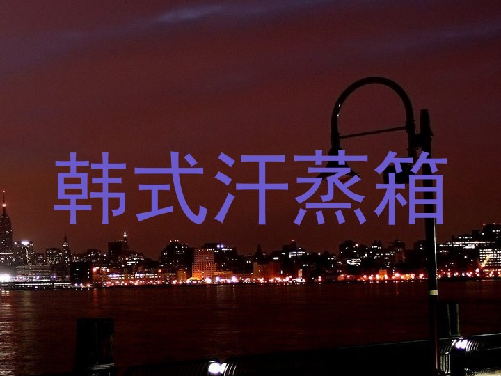 韩式汗蒸箱