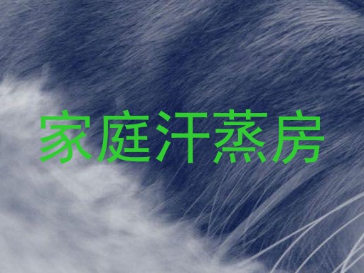 家庭汗蒸房