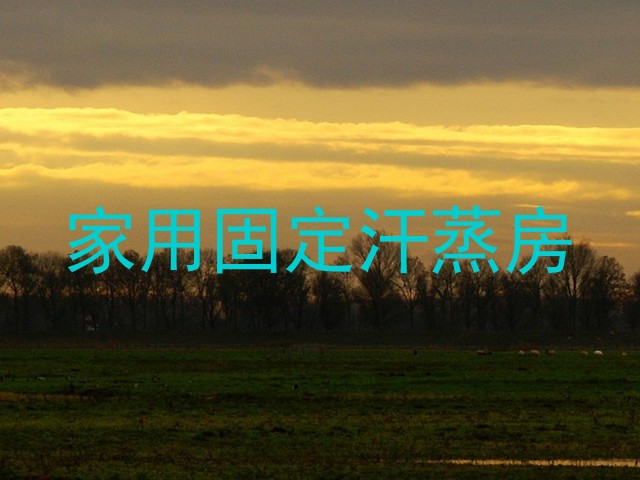 家用固定汗蒸房
