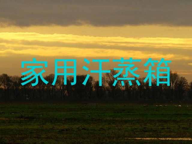 家用汗蒸箱