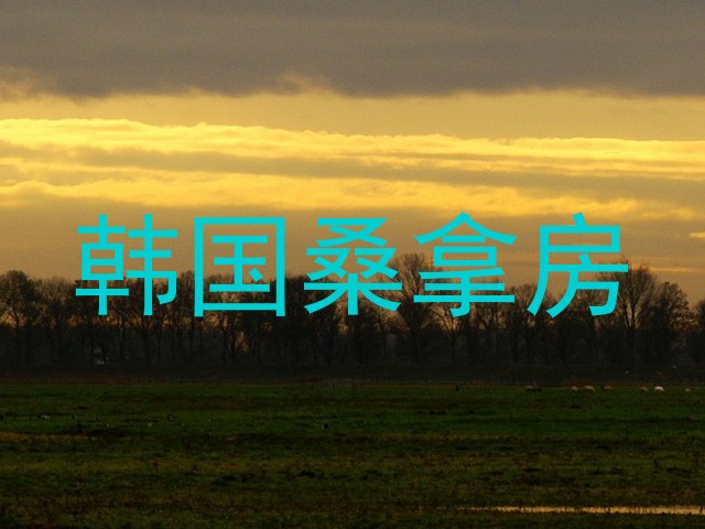 韩国桑拿房