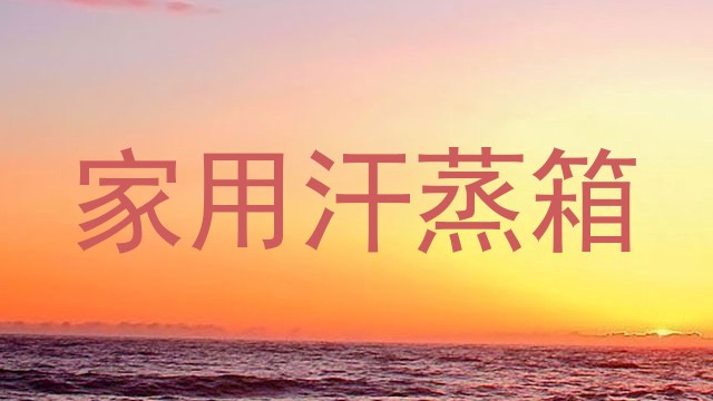 家用汗蒸箱