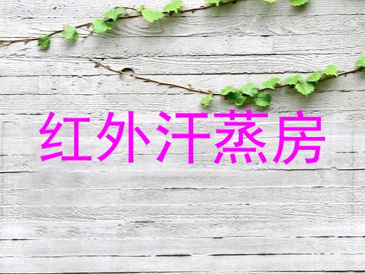 红外汗蒸房