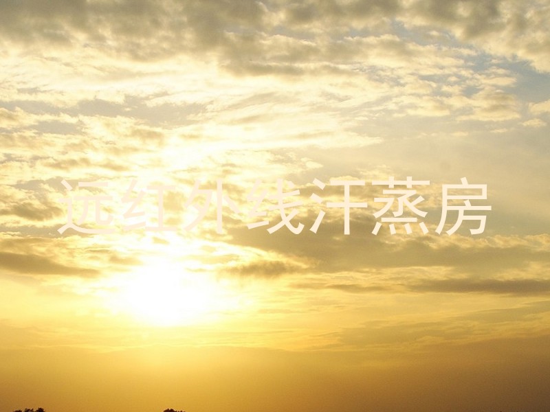 远红外线汗蒸房