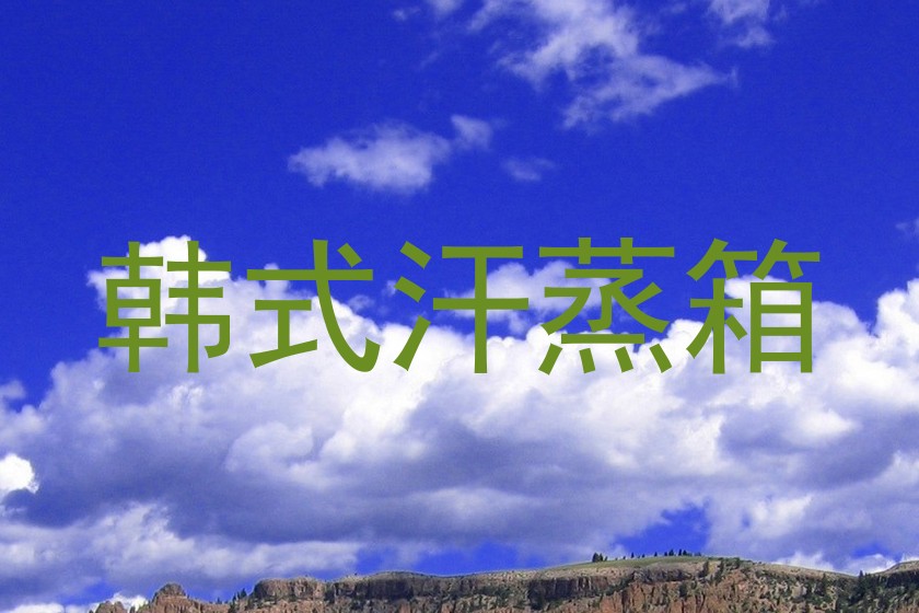 韩式汗蒸箱