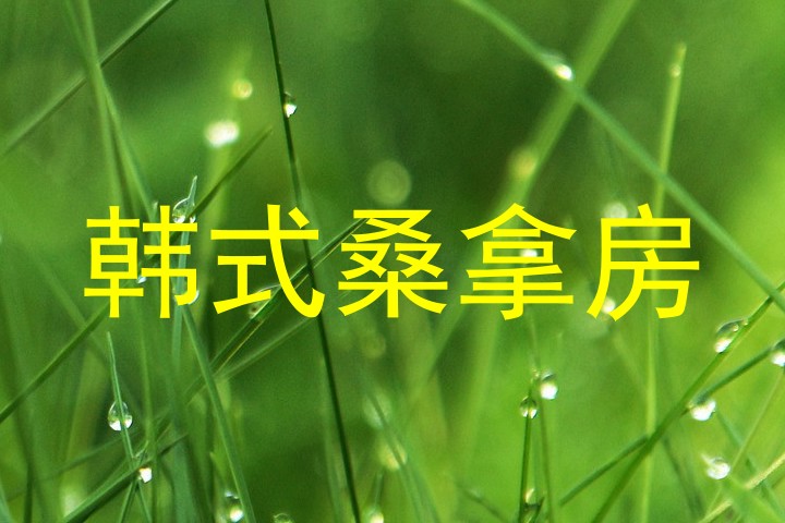 韩式桑拿房