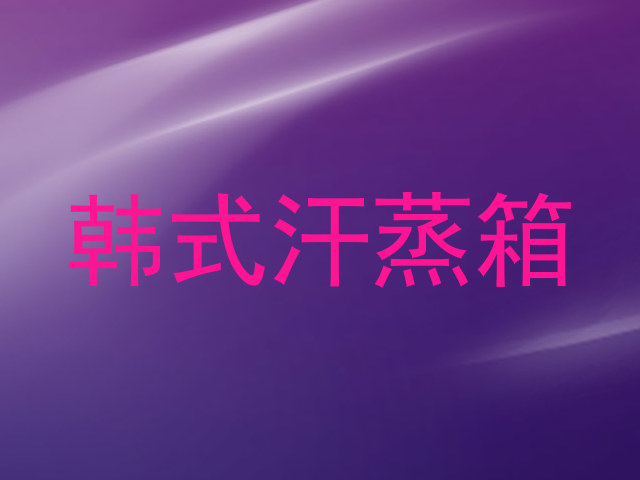 韩式汗蒸箱