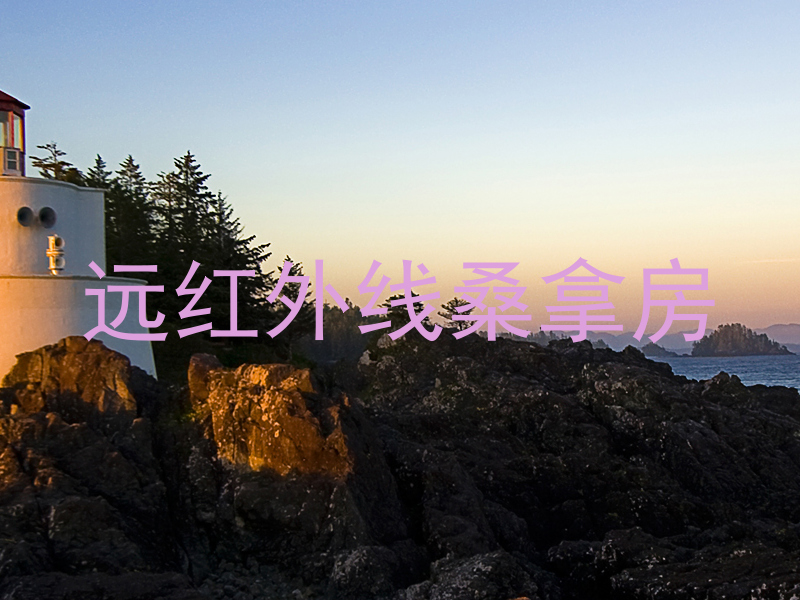 远红外线桑拿房