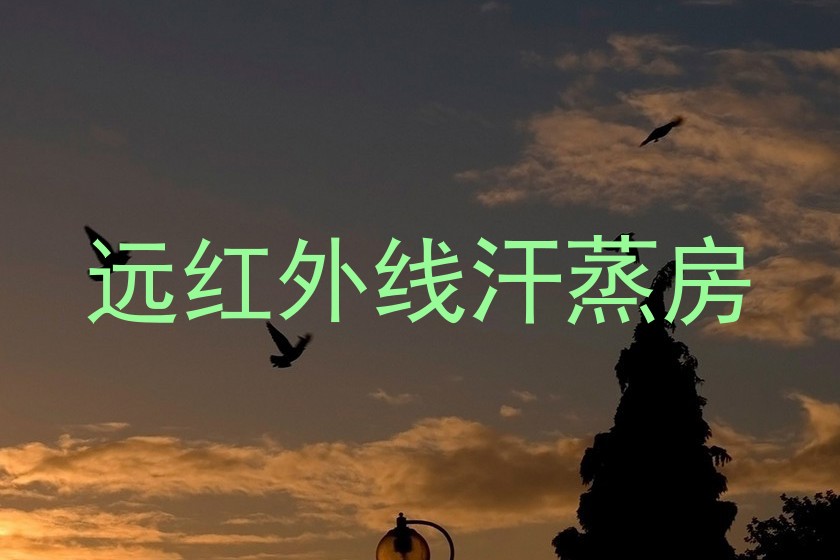 远红外线汗蒸房