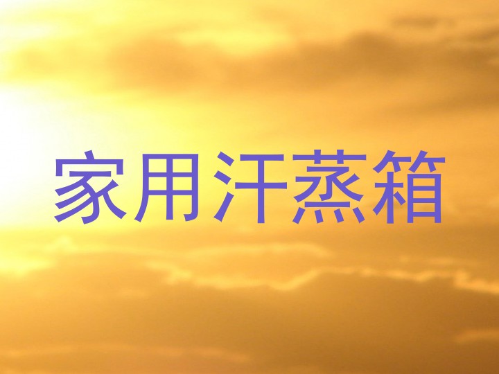 家用汗蒸箱
